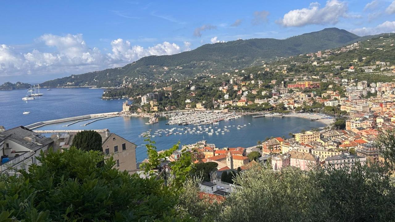 Edens House Con Parcheggio Privato Gratuito Lejlighed Rapallo Eksteriør billede